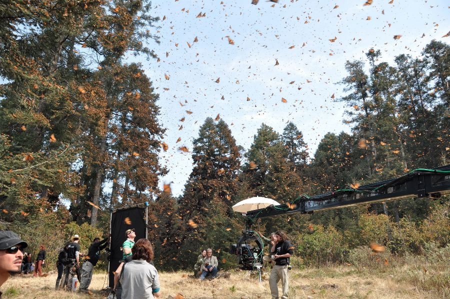 Flight of the Butterflies - BTS Filming in Sanctuaries ©SK Films